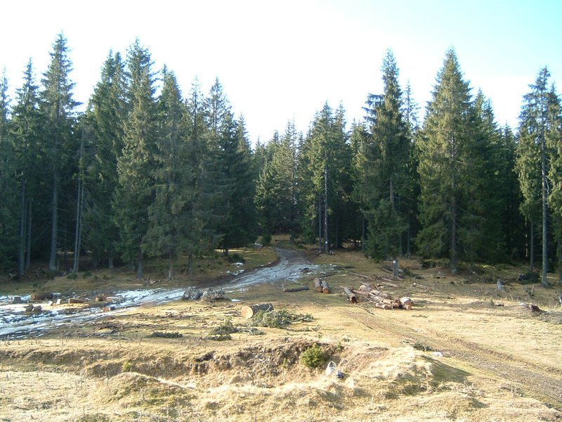Picture 005.jpg