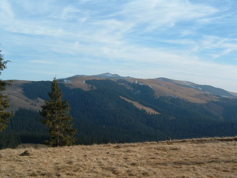 Picture 013.jpg