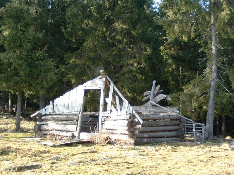 Picture 015.jpg