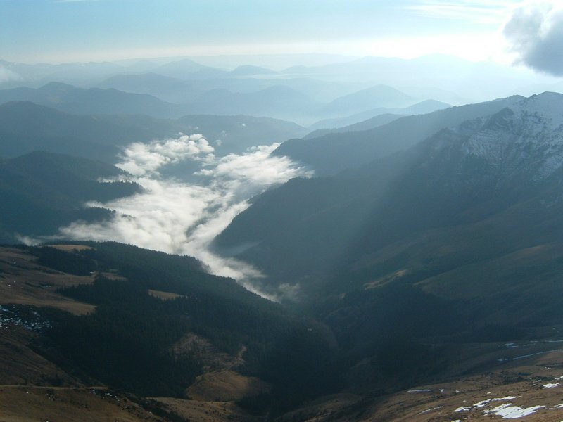Picture 114.jpg