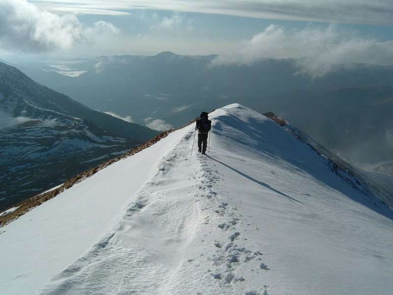 Picture 116.jpg