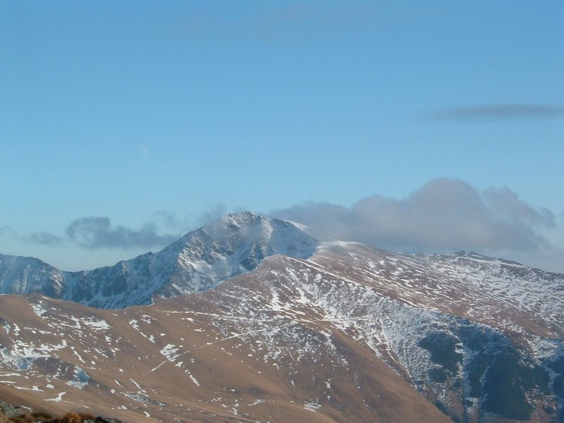 Picture 119.jpg