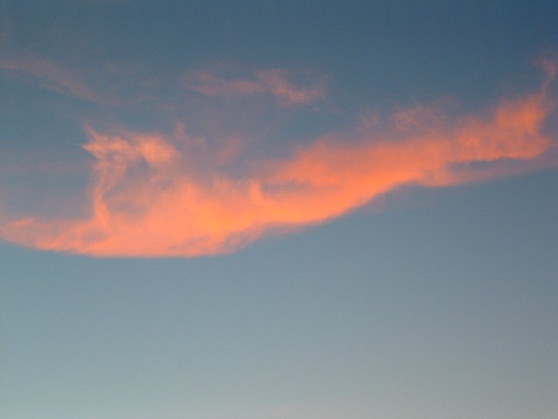 Picture 138.jpg