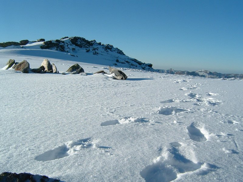 Picture 147.jpg