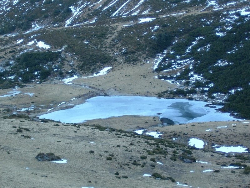Picture 156.jpg