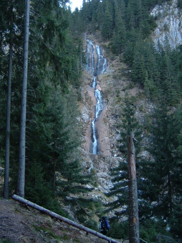 Picture 157.jpg