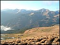 Picture 121.jpg