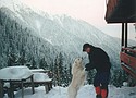 Fagaras, la cabana Turnuri, iesire in creasta