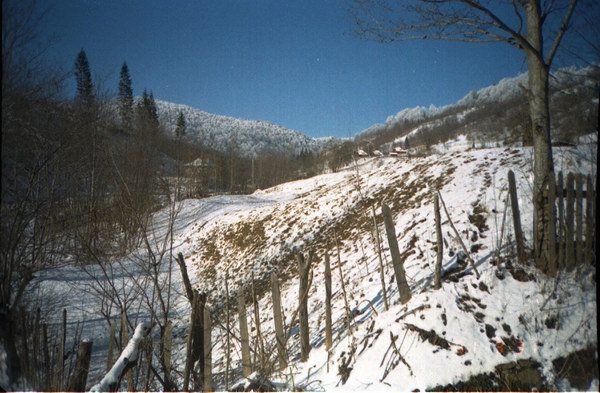 In Ceahlau