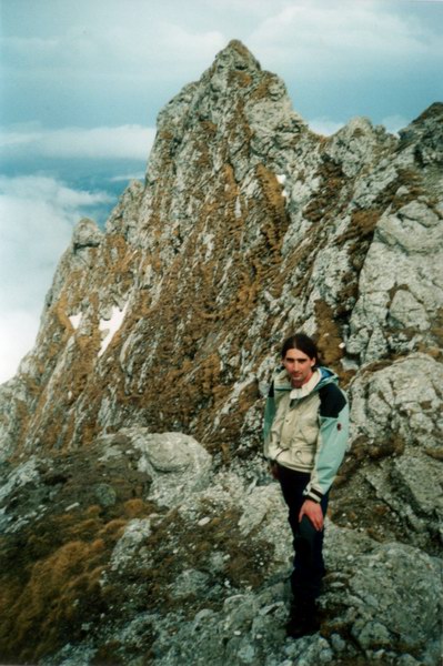 Coltii Morarului