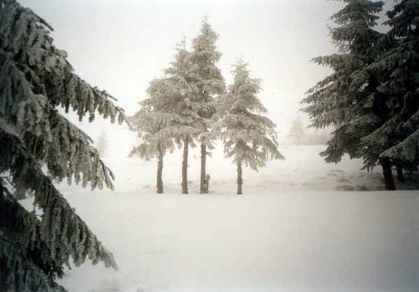 Muntii Neamtului, martie 2002