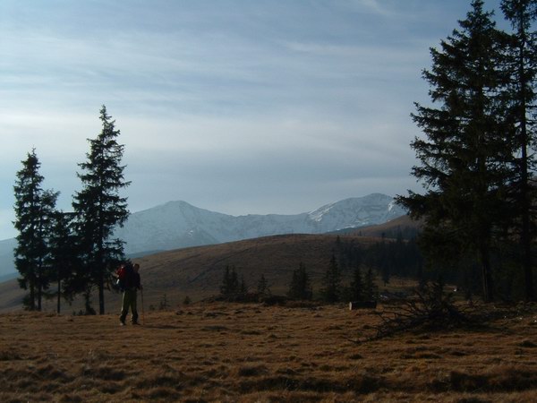 Muntii Rodnei