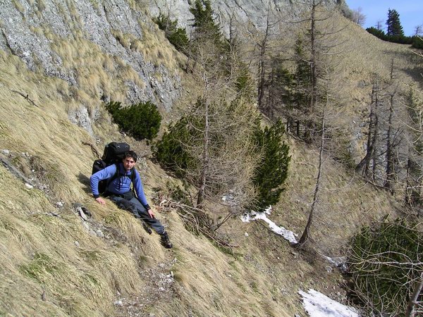 Pe Brana lui Raducu, spre Jepii Mari, intre Saua Claii Mari si muchia Claitei
